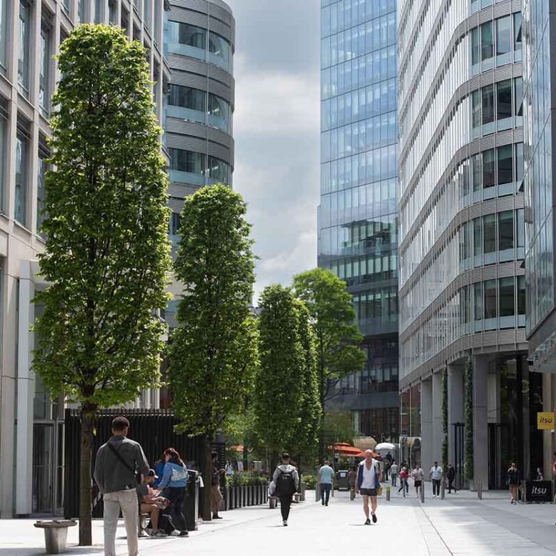 car parking spinning fields