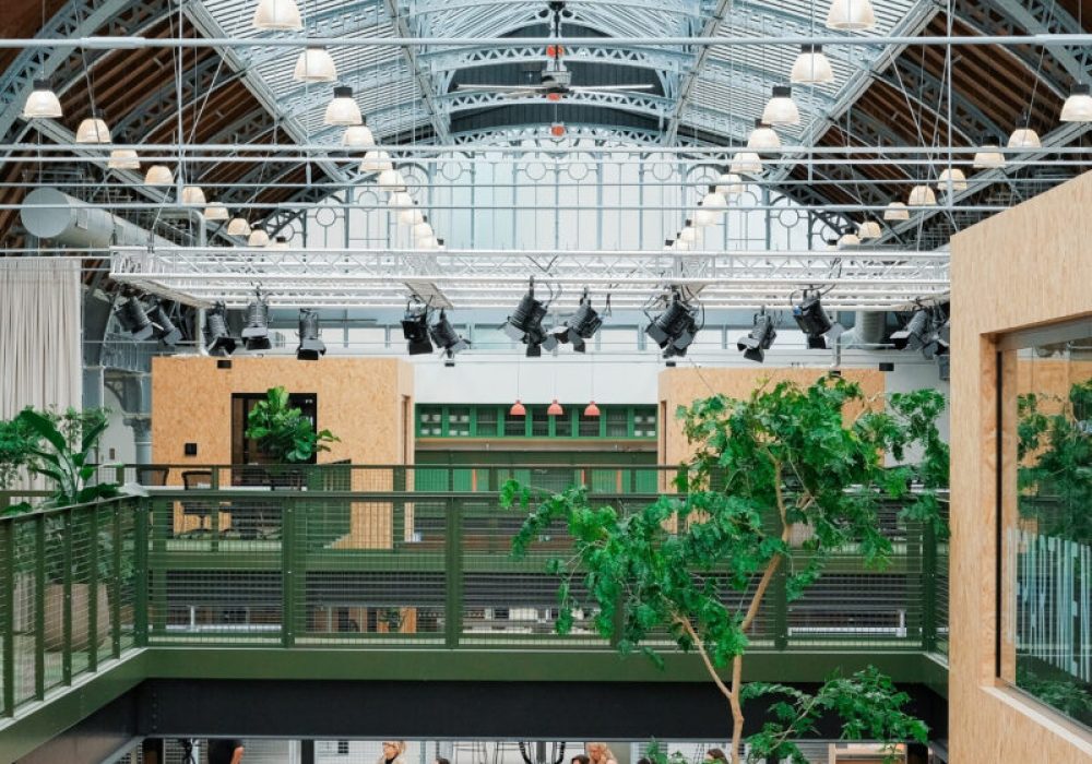 biophilic